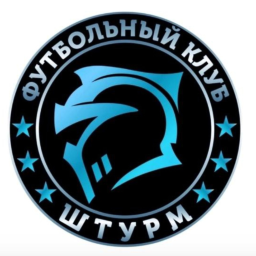 Штурм