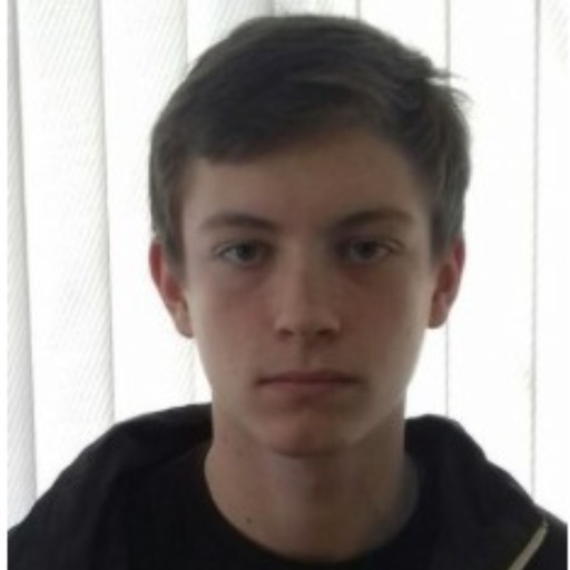 Звягинцев Дмитрий